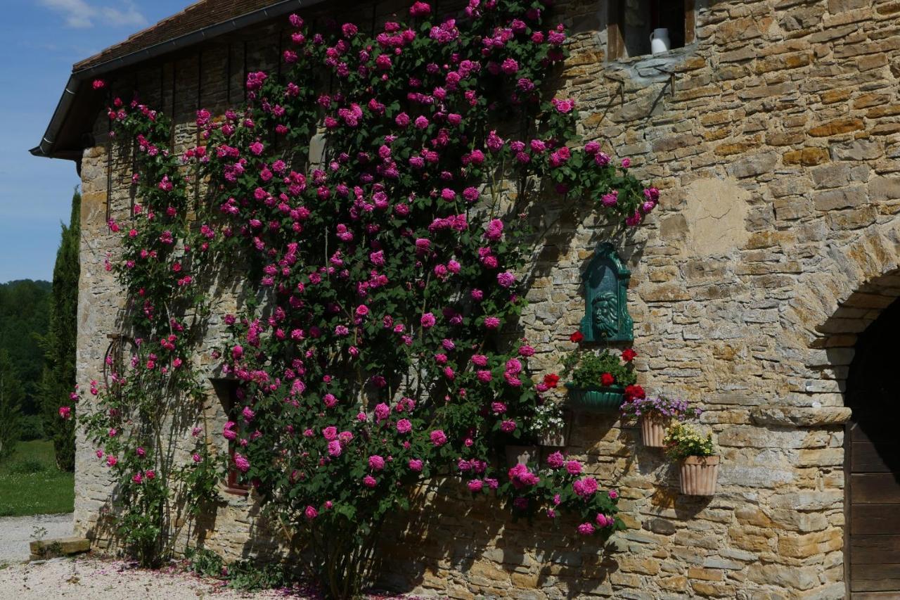 Chambres D'Hotes Secret Pyrenees Lasseube Exteriér fotografie